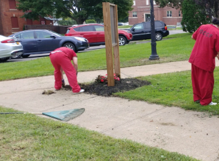 5b9947d465d7c BC8461FA C677 4F5C 94C2 5487424D150F