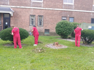 5b99484483603 628B7250 1843 480E 8857 BD897ECDE39C