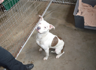 5d1b77d542b68 CF46D8B6 FF10 48EB 8B34 27222A416D83