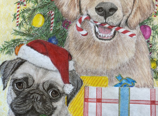 5de82ea6633cc B8938055 8ECD 4E70 B67E B71A966E685B