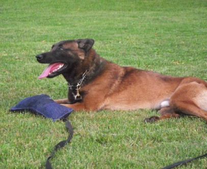 It is with regret that we announce the passing of Oneida…