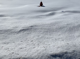 601c87cfba7b9 A92E7AB7 1357 442B AFA8 281E710BDBDB