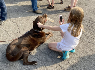 62b3c261240fe 6C58EB9F 6AC8 4C7E 8DCB 376629C65EAB