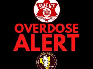 657a06e0f1ef8 IMG 4654