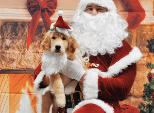 65897f147a6b1 IMG 1343