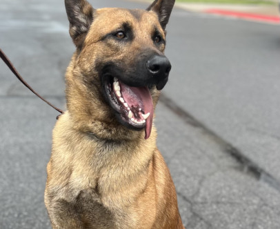 On Saturday, the Sheriff’s Office attended Indium…