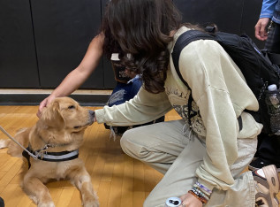 68f0192af1006 img 4144