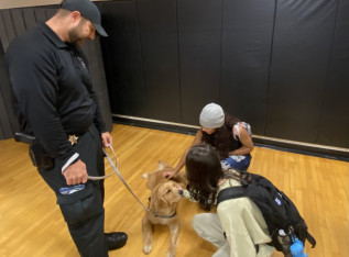 68f0192ba9467 img 4143