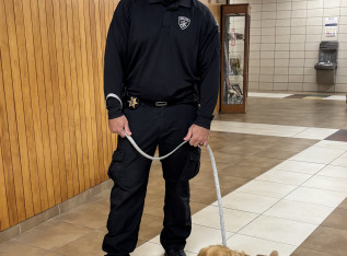 68f28986bb7f3 img 7060