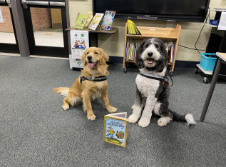 691fc07f63aa3 img 4458