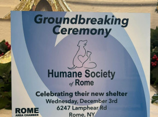 69330ff3b85ad img 0553