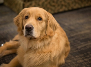 698294e65ac27 7189558696777165622