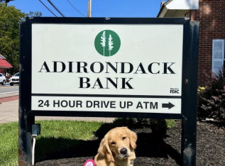 698294e6c131a img 4755