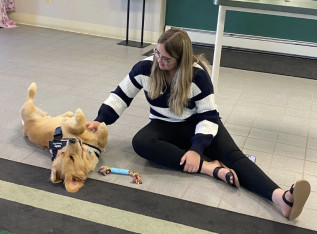 698294e712eb0 img 4754