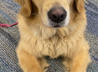 69cdd25e958e5 img 5242