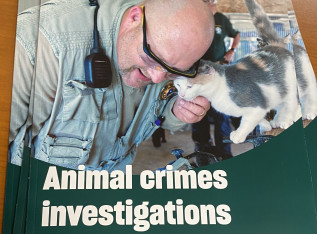 69dea0bf43a7c img 5321