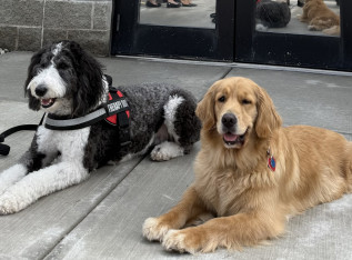 69e17e51296ff img 1306