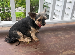 69f11cf80699d img 5461