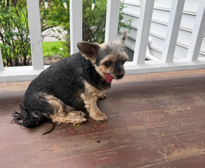 The Oneida County Sheriff's Office has located the above…